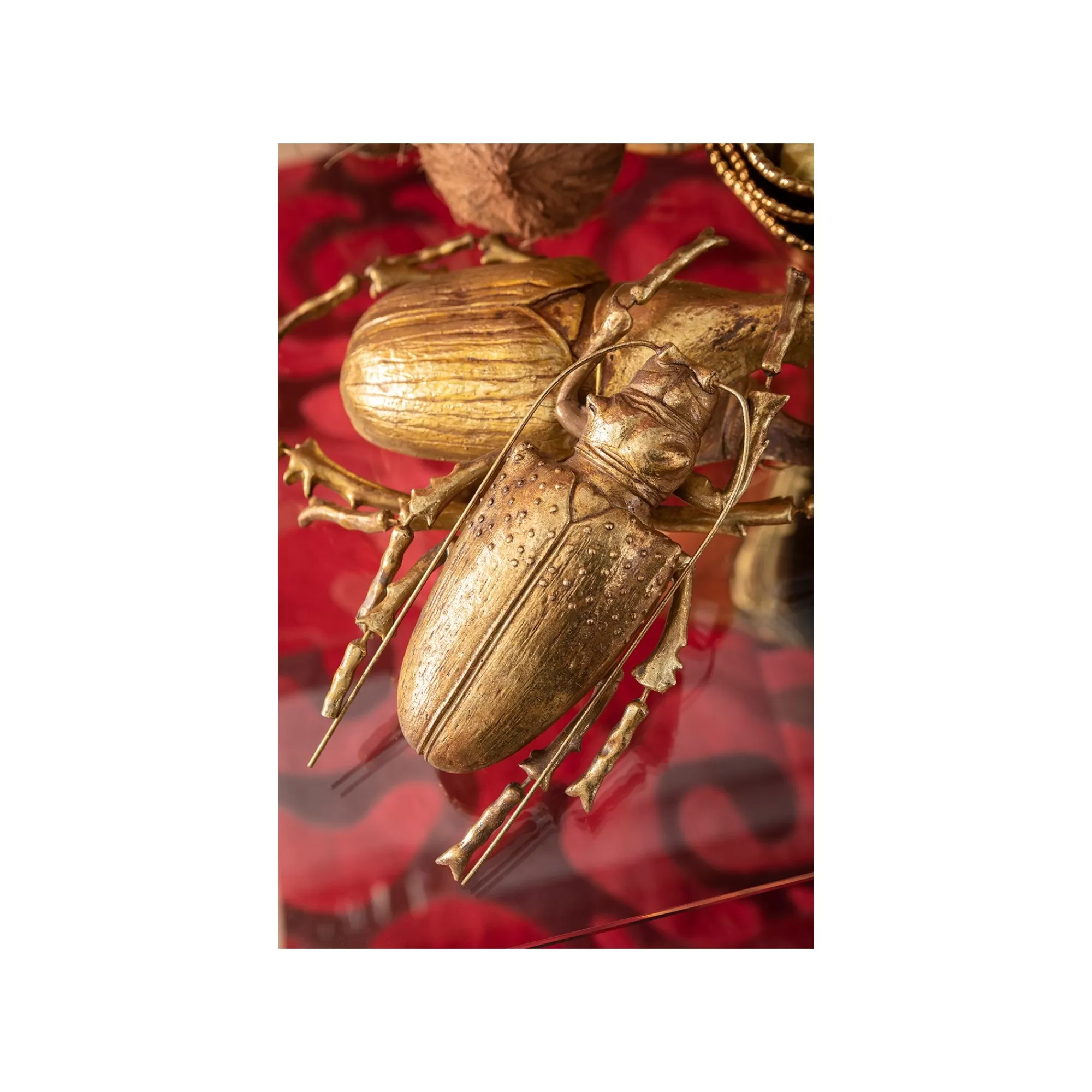 KARE Design Déco Murale Longicorn Beetle Dorée ^ Déco Murale