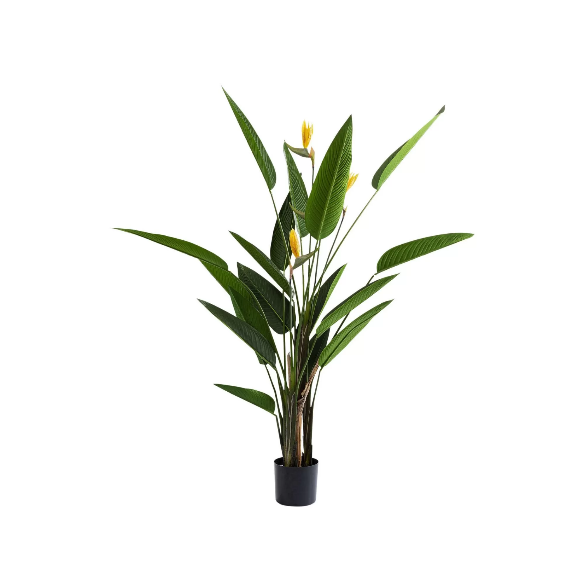 KARE Design Plante Décorative Oiseau De Paradis 190cm ^ Plante Décorative