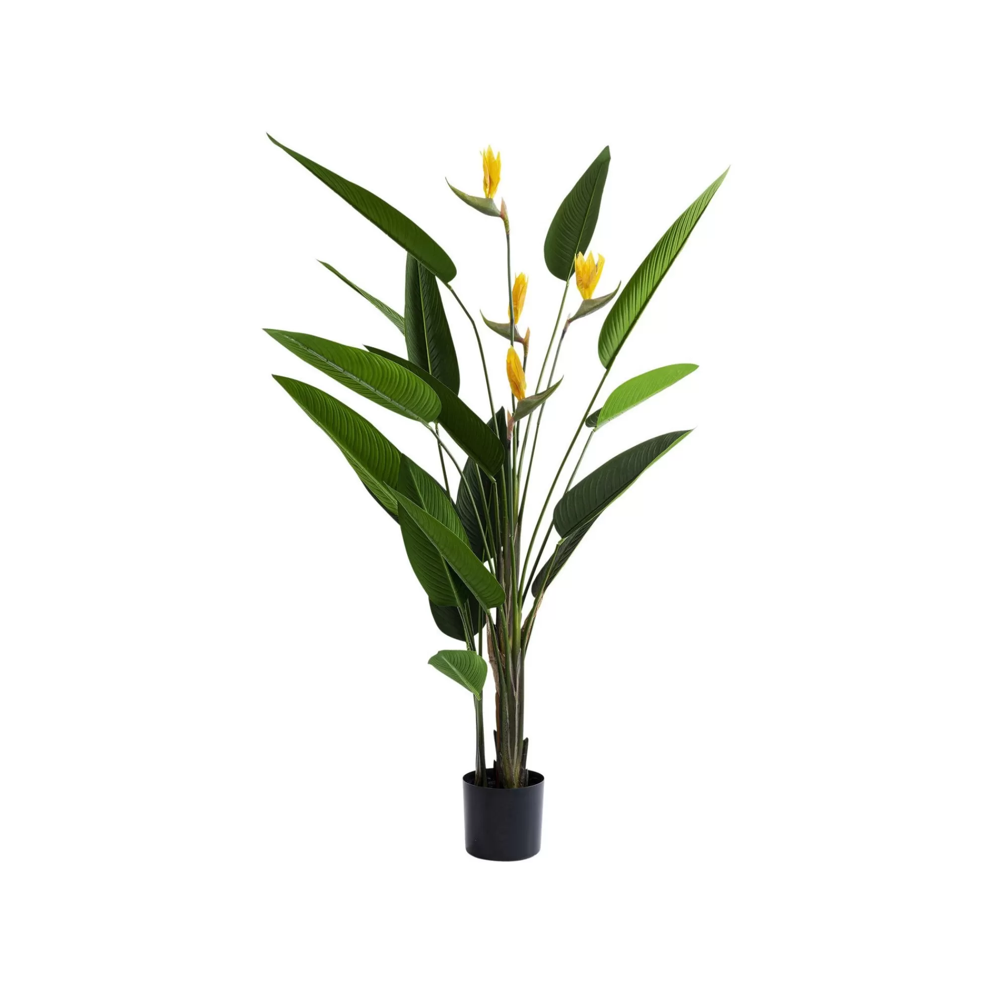 KARE Design Plante Décorative Oiseau De Paradis 190cm ^ Plante Décorative