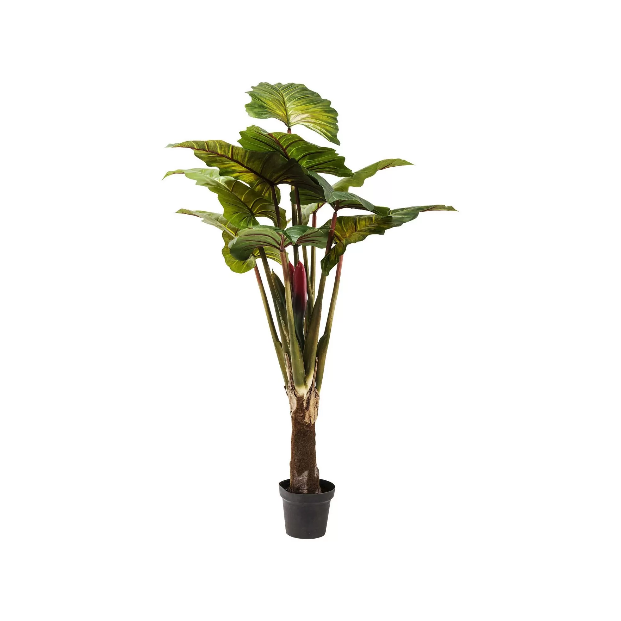 KARE Design Plante Décorative Rainbow Tree 160cm ^ Plante Décorative