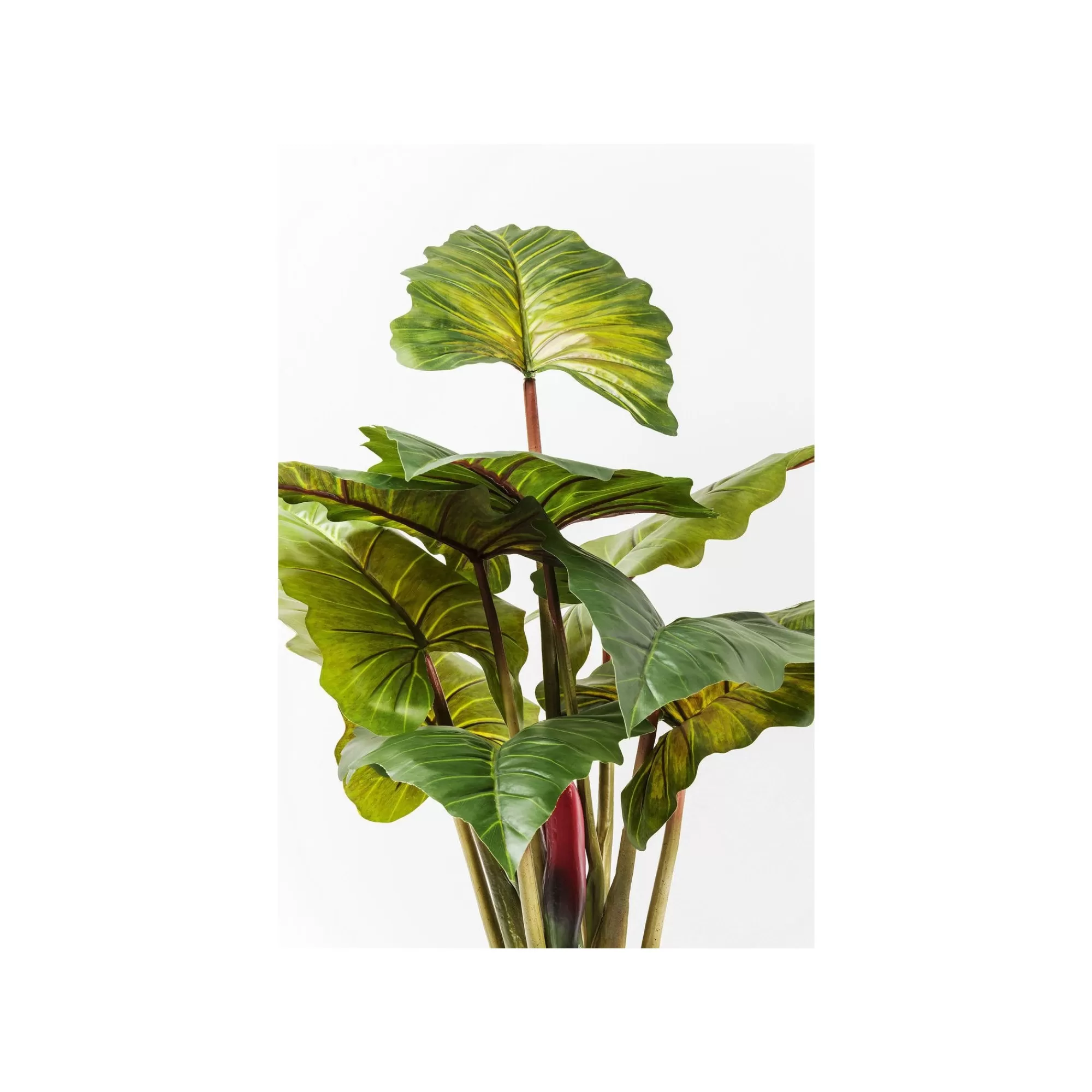 KARE Design Plante Décorative Rainbow Tree 160cm ^ Plante Décorative