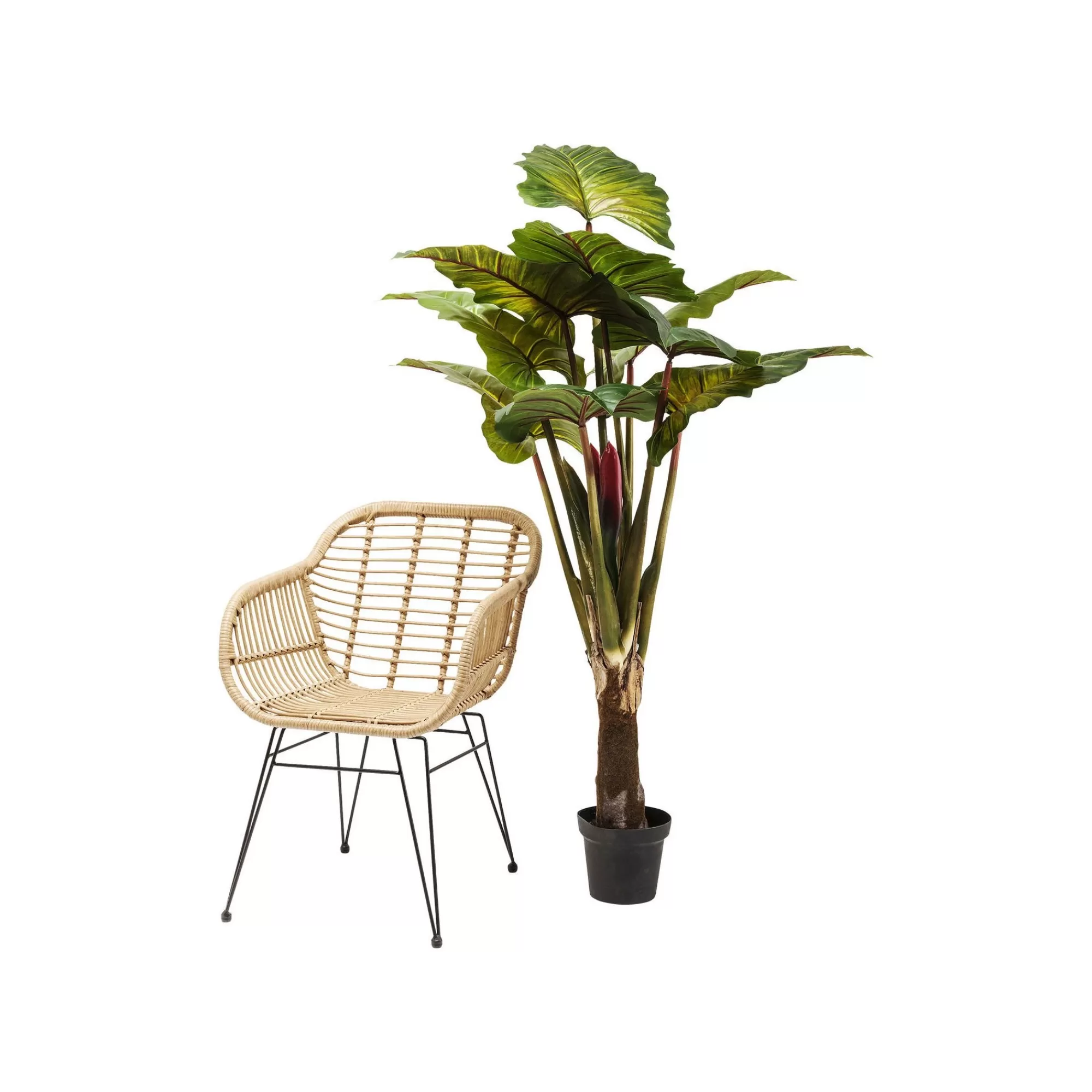 KARE Design Plante Décorative Rainbow Tree 160cm ^ Plante Décorative