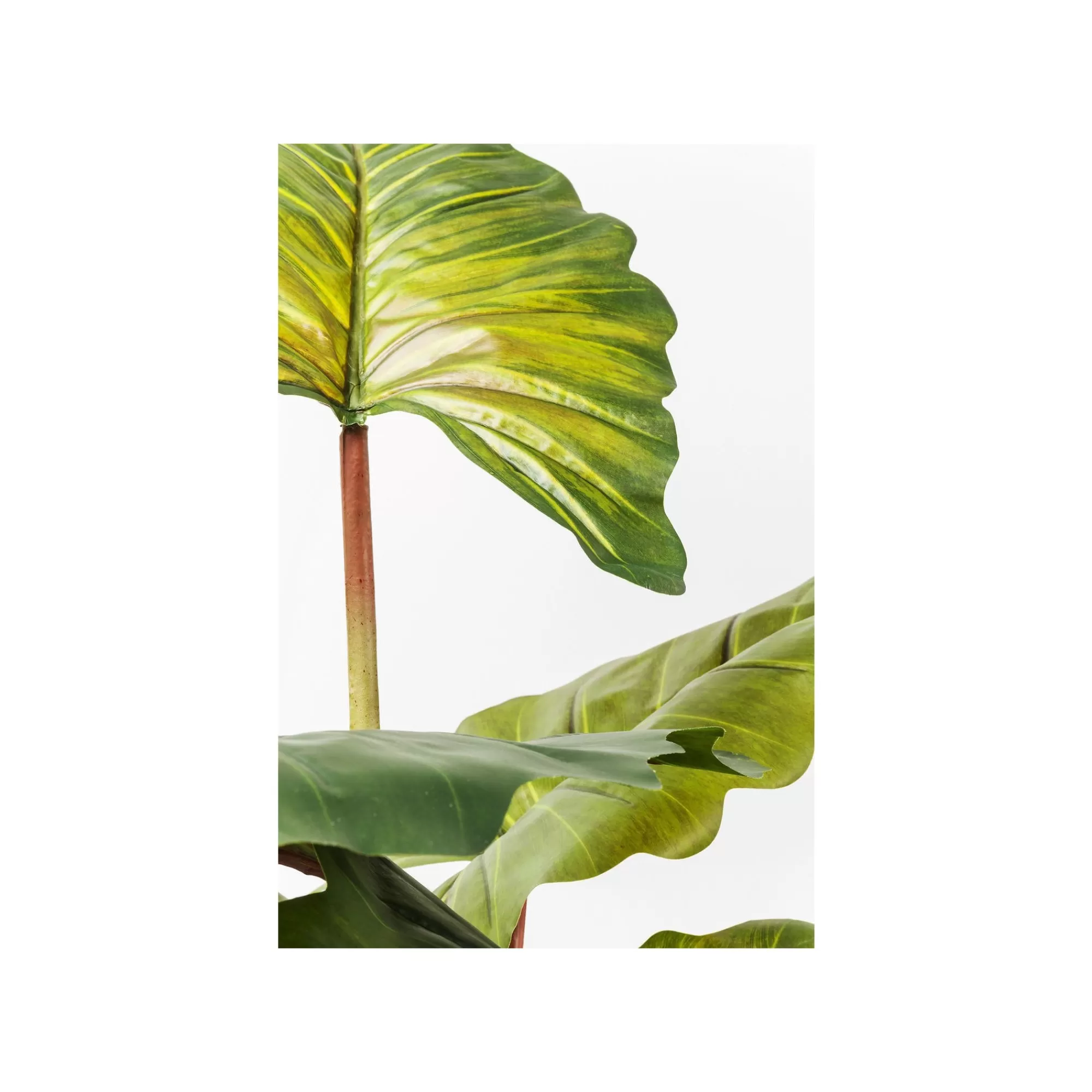 KARE Design Plante Décorative Rainbow Tree 160cm ^ Plante Décorative