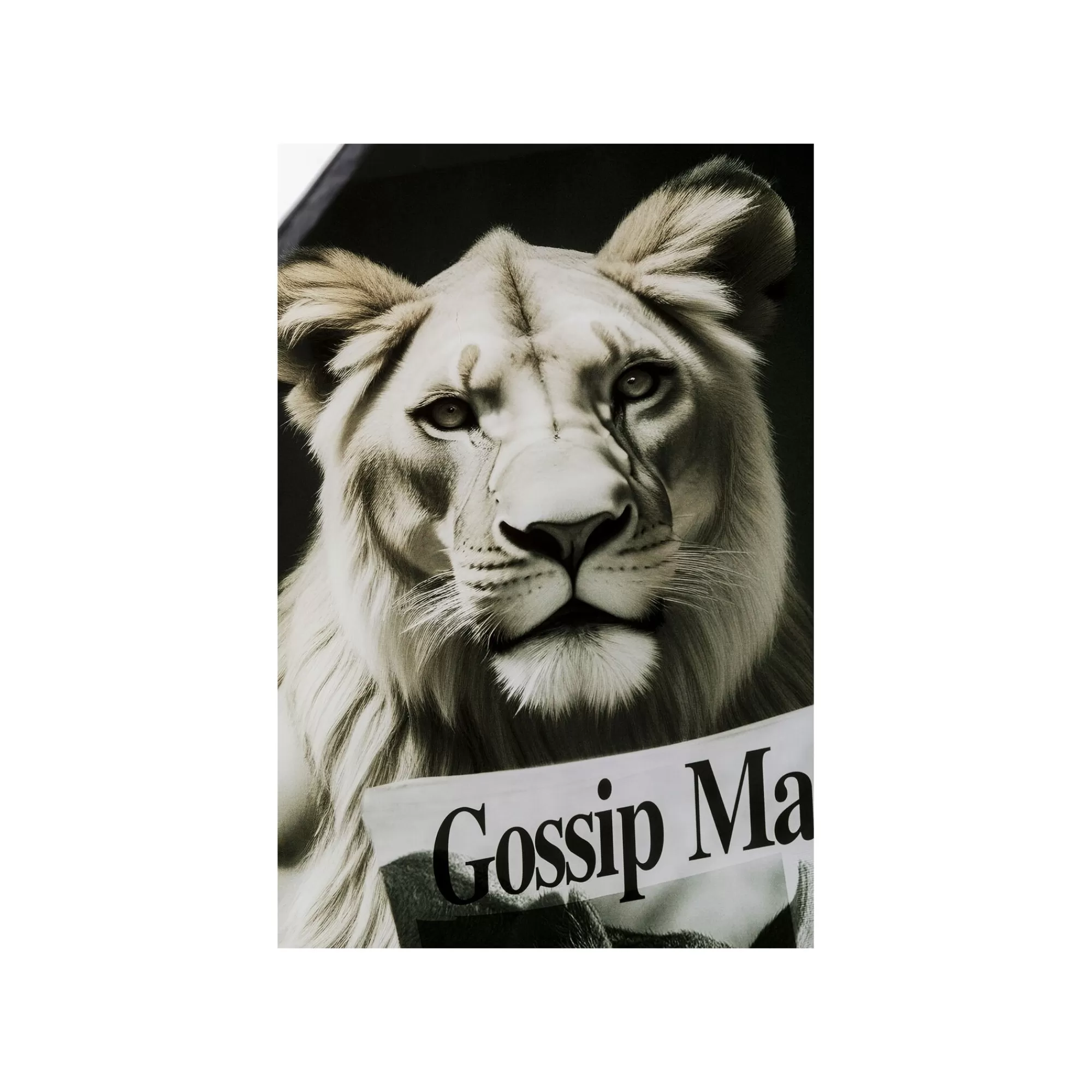 KARE Design Tableau En Verre Lionne Journal 60x80cm ^ Tableau